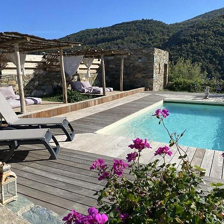 Chambres D'Hotes Et Studios De Charme - A Mandria Murato Esterno foto