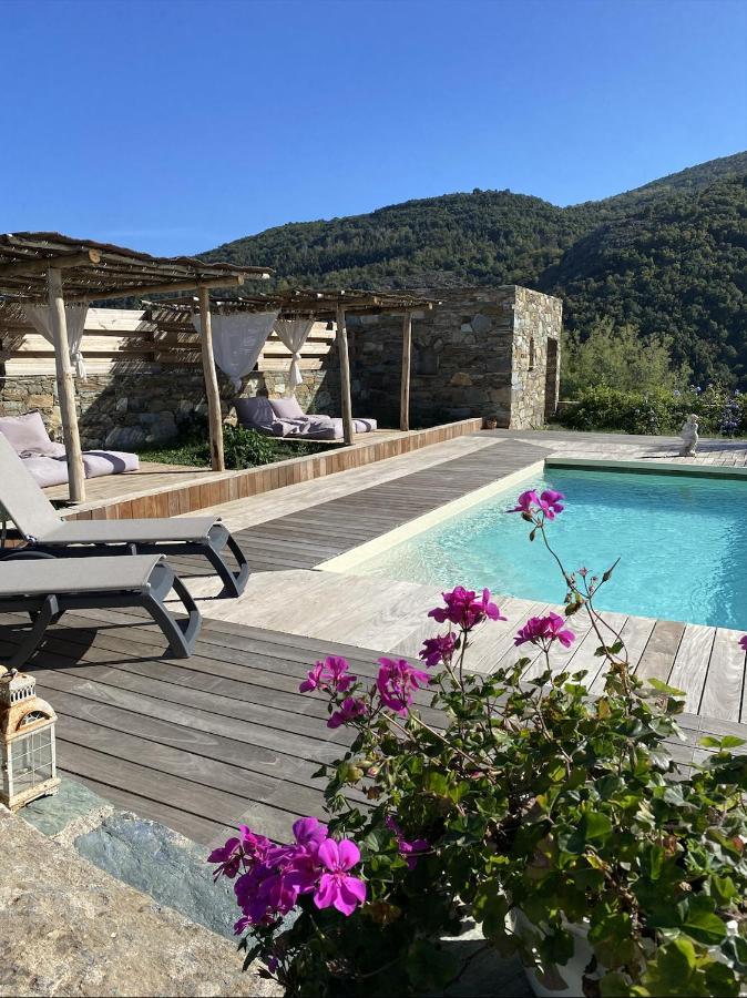 Chambres D'Hotes Et Studios De Charme - A Mandria Murato Esterno foto